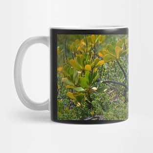 Beach Mangrove 2 Mug